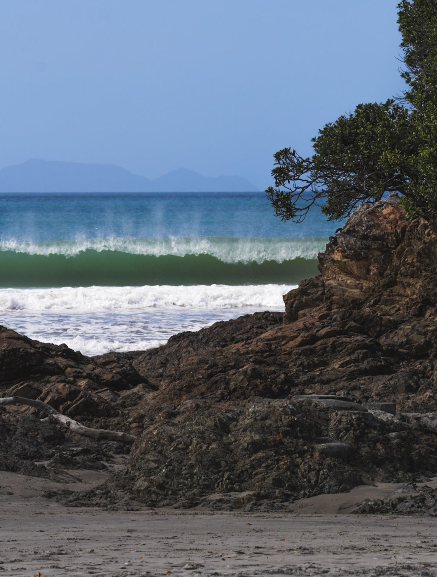 The Cove