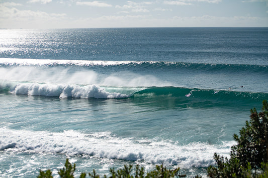 Paradise