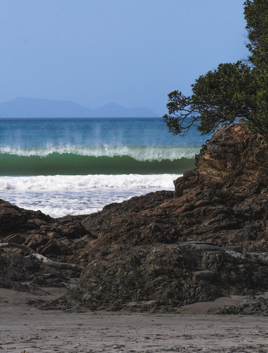 The Cove